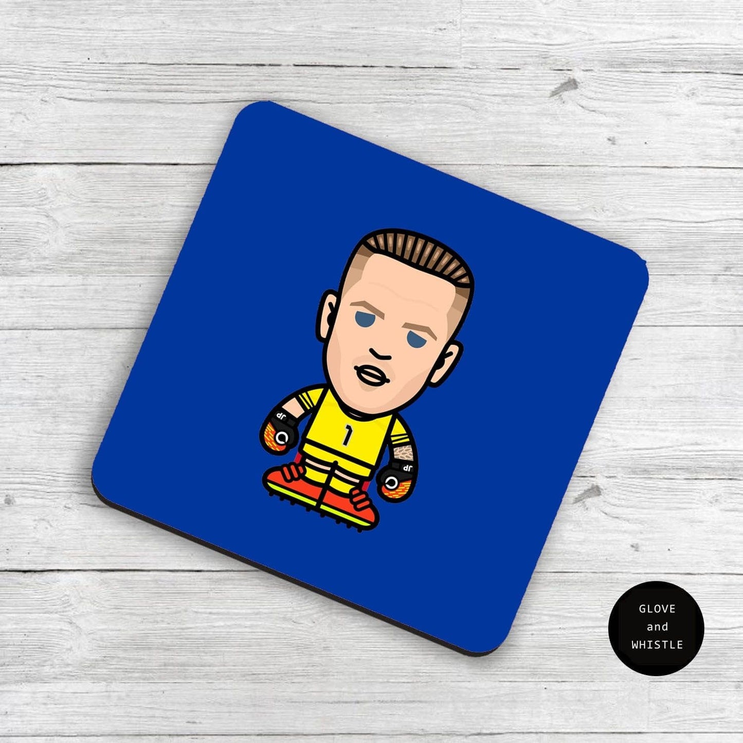 Jordan Pickford Everton Coaster
