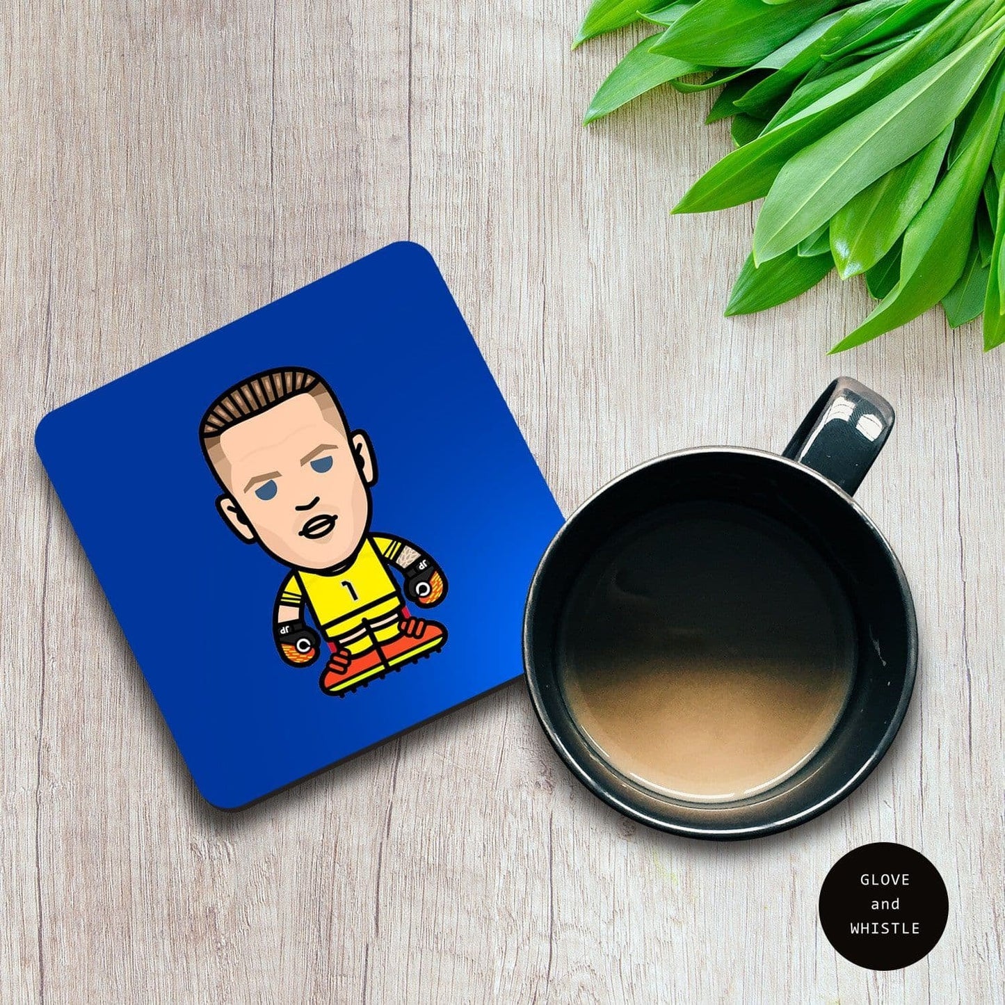 Jordan Pickford Everton Coaster