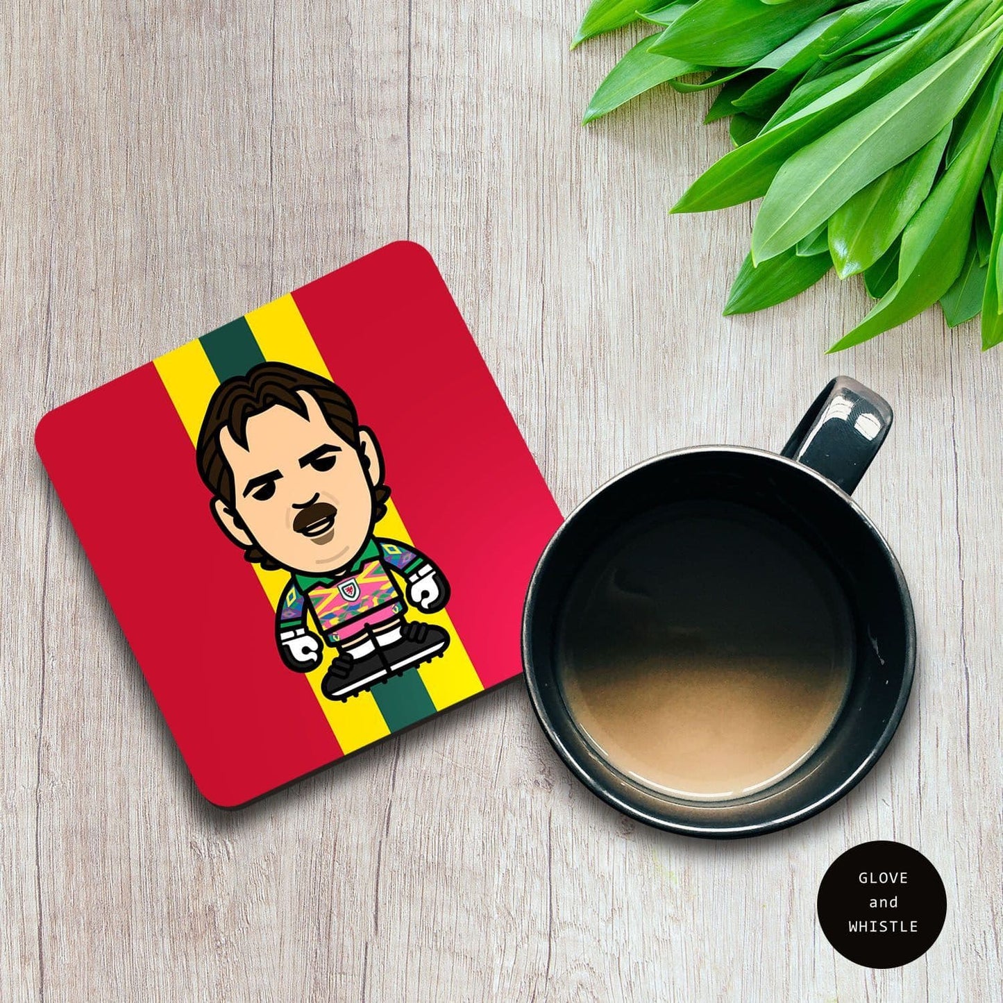 Neville Southall Wales Coaster